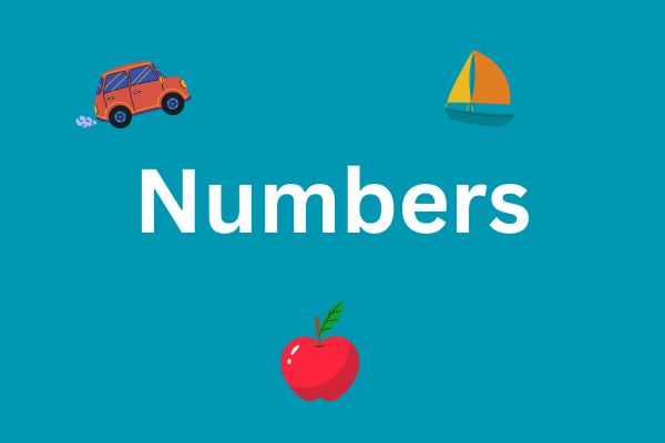 Numbers activity