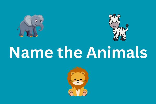 Name the Animals